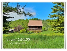 Maison à vendre 5 pièces MISSERY (21210) sur 9500m² de terrain sans voisins.