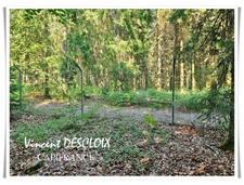 Terrain 19 965m² avec étang à vendre  GIEN SUR CURE (58230)
