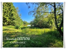 Terrain 19 965m² avec étang à vendre  GIEN SUR CURE (58230)