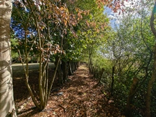 Maison à vendre 6 pièces IRODOUER (35)