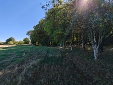 Propriété à Vendre MONTAUBAN DE BRETAGNE (35)