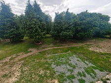 Maison à vendre 5 pièces PLOUASNE (22)