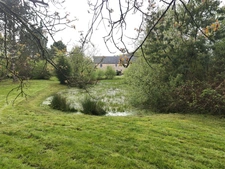 Dpt Ille et Vilaine (35), à vendre SAINT PERN propriete P6 de 228,5 m² - Terrain de 5 218,00 m² 