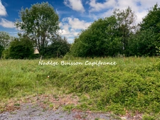 À vendre – Terrain d’exception de 2 141 m² à GONNEVILLE SUR MER (secteur classé) 