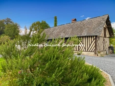 Maison normande 7 pièces – XVIIIᵉ siècle – 140 m² – Terrain 1 954 m² – 15 km Cabourg – 2 h Paris 