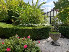 Maison Normande  atypique 5 pièces  110 m² avec dépendance Putot-en-Auge