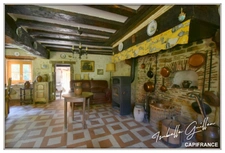 Propriete à vendre 8 pièces TOUCHAY (18)