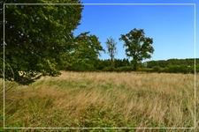 Dpt Cher (18),Grande maison de campagne à personaliser – 4 chambres – Dépendances et verger