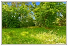 Propriéte à vendre : 2 maisons et 4.5 hectares TOUCHAY (18)