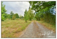 Propriéte à vendre : 2 maisons et 4.5 hectares TOUCHAY (18)