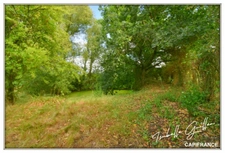 Propriété à vendre à Touchay : 2 maisons avec 4.5 hectares TOUCHAY (18)