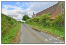 Propriéte à vendre : 2 maisons et 4.5 hectares TOUCHAY (18)