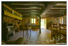 Propriéte à vendre : 2 maisons et 4.5 hectares TOUCHAY (18)