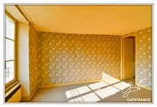 Maison à vendre 6 pièces LE CHATELET (18)