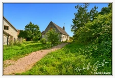 Propriéte à vendre : 2 maisons et 4.5 hectares TOUCHAY (18)