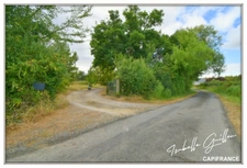 Propriéte à vendre : 2 maisons et 4.5 hectares TOUCHAY (18)