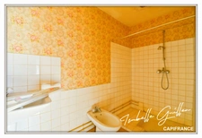 Maison à vendre 6 pièces LE CHATELET (18)