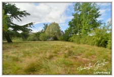 Propriéte à vendre : 2 maisons et 4.5 hectares TOUCHAY (18)