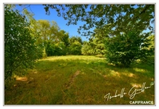 Propriéte à vendre : 2 maisons et 4.5 hectares TOUCHAY (18)