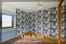 Maison à vendre 4 pièces sans aucun voisin + grange (86)