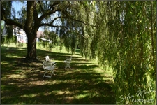 Dpt Indre (36), for sale CHASSIGNOLLES house P7   