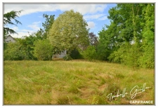 Propriété à vendre à Touchay : 2 maisons avec 4.5 hectares TOUCHAY (18)