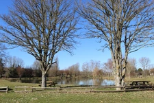 Dpt Côte d'Or (21), à vendre PAINBLANC, terrain à Bâtir de 2348 m².