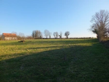 Dpt Côte d'Or (21), for sale MUSIGNY land - Land of 5,990.00 m²
