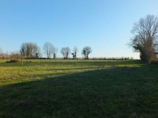 Dpt Côte d'Or (21), for sale MUSIGNY land - Land of 5,990.00 m²