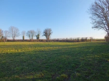 Dpt Côte d'Or (21), à vendre MUSIGNY terrain - Terrain de 5 990,00 m²