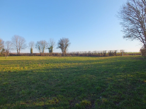 Dpt Côte d'Or (21), à vendre MUSIGNY terrain - Terrain de 5 990,00 m²
