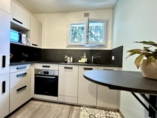 Appartement à vendre 2 pièces ANNECY LE VIEUX (74)