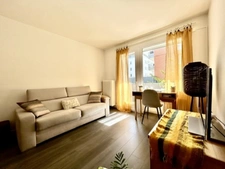 Appartement à vendre 2 pièces ANNECY LE VIEUX (74)
