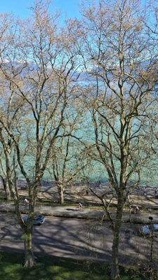 Appartement à vendre 2 pièces ANNECY (74)