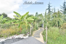 A CONTEMPORARY VILLA WHERE EVERYDAY LIFE TAKES ON A HOLIDAY FEEL - LE TEMPLE SUR LOT (47)