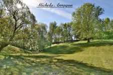Dpt Lot et Garonne (47), à vendre PINEL HAUTERIVE propriete P6 de 240 m² - Terrain de 21 912,00 m² 