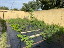 Maison à vendre sur Robion 137 m² - Terrain de 1201 m² 