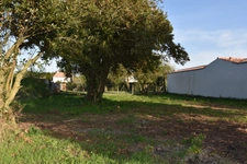 Dpt Charente Maritime (17), Ile d'Oléron, terrain 530 m², Terrain à vendre  SAINT DENIS D'OLERON (17)