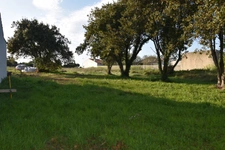 Dpt Charente Maritime (17), Ile d'Oléron, terrain 530 m², Terrain à vendre  SAINT DENIS D'OLERON (17)