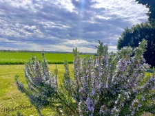 Dpt Isère (38), AUBERIVES SUR VAREZE maison P6 de 196,51 m² - Terrain de 4500 m² 