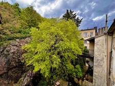 Appartement à louer 3 pièces LYON Croix Rousse