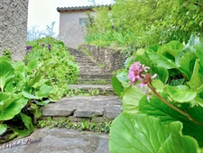 Dpt Rhône (69), à vendre CHAPONNAY maison P6 de 160 m² - Terrain de 1 450,00 m² 