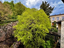 Appartement à louer 3 pièces LYON Croix Rousse