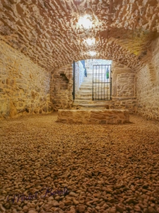 Dpt Rhône (69), for sale SAINT GERMAIN NUELLES P8 house of 208.1 m² - Land of 581 m²