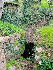 Dpt Rhône (69), au coeur de Pontcharra, terrain de 750 m2 totalement viabilisé pour 2 maisons.