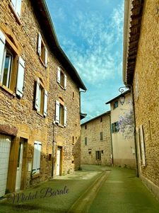 Dpt Rhône (69), for sale SAINT GERMAIN NUELLES P8 house of 208.1 m² - Land of 581 m²