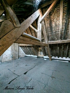 Propriété de charme avec deux habitations, au cœur de Chaumes-en-Brie