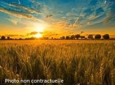 Grand TERRAIN de loisirs dans charmant village de Seine et Marne de plus de 2000 m² !