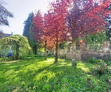 Propriété de caractère de 340 m² sur un terrain arboré de 35,5 ares avec piscine couverte MASEVAUX NIEDERBRUCK