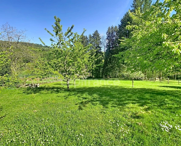 Propriété de caractère de 340 m² sur un terrain arboré de 35,5 ares avec piscine couverte MASEVAUX NIEDERBRUCK